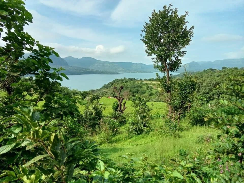 Khed Nature